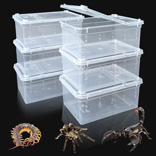 VCEPJH Spinnen-Terrarium, kleiner Kunststoff-Insektenkäfig für Insekten, transparent, für kleine Reptilien, Skorpion, Tausendfüßler, Brutkasten mit belüfteten Löchern, 6 Stück von VCEPJH