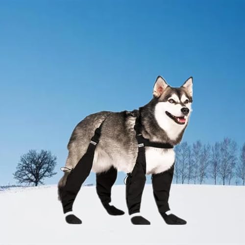 Hunde Stiefel Mit Hosenträgergurt | Hundepfoten Stiefel Leggings | Hundestiefel und Pfotenschutz | Strapsstiefel für Hunde | wasserdichte Hundestiefel, rutschfeste Hundeschuhe (L) von VCTKLN