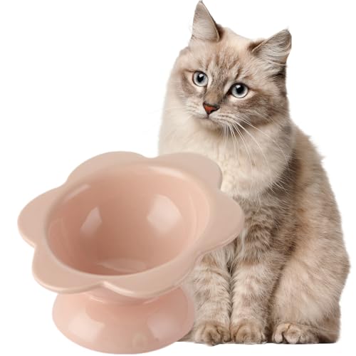 Erhöhter Keramik-Katzennapf, auslaufsicherer Wassernapf, Schnurrhaarfreundlicher Katzennapf für Indoor-Katzen, ergonomisch, geneigt, niedlicher Katzennapf (Rosa) von VEEKI