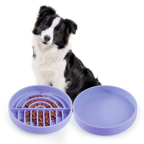 VEEVAO Lebensmittelechtes Silikon Hund Slow Feeder Napf und auslaufsicherer Hund Wassernapf Set mit Saugnapf, resistent gegen Umkippen/Brechen, ideal für Reisen, geeignet für alle Haustiere, von VEEVAO