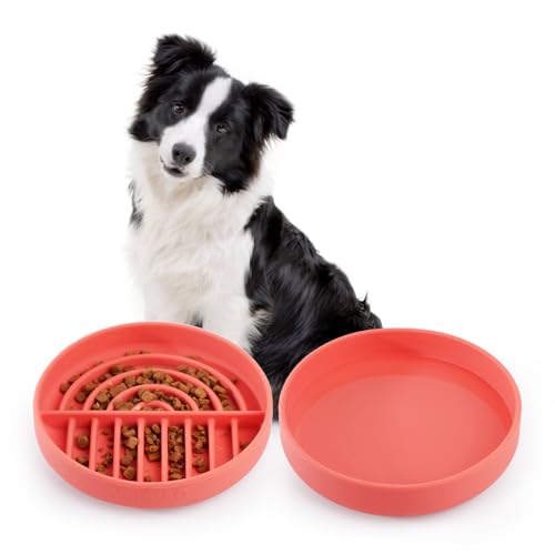 VEEVAO Lebensmittelechtes Silikon Hund Slow Feeder Napf und auslaufsicherer Hund Wassernapf Set mit Saugnapf, resistent gegen Umkippen/Brechen, ideal für Reisen, geeignet für alle Haustiere, von VEEVAO