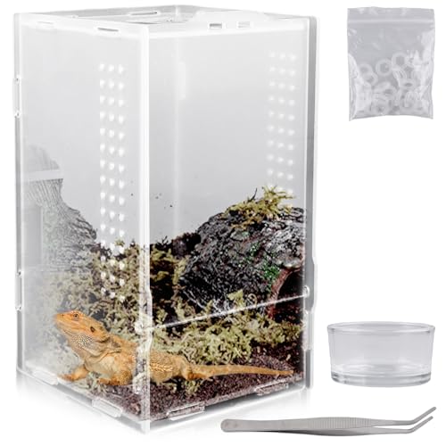 Acryl Mini Terrarium Reptilien Box Set, Insect Feeding Box Transportbox Reptilien Klein Groß Reptilien-Zuchtbox mit Pinzette und Becken, Schnecken Terrarium für Insekten Käfer Spinnen (20x12x12cm) von VEGOATY