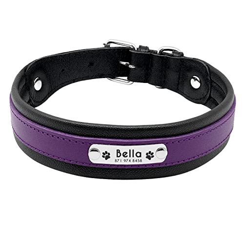 Personalisiertes Hundehalsband,Individuell Graviert,Für Große Hunde,Bulldogge-Halsbänder,Gepolstert,Für Mittelgroße Hunde,Perro Pitbull,Violett,M von VEKETE