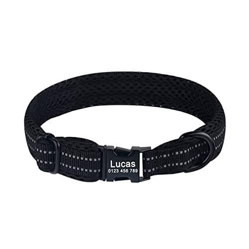 Personalisiertes Hundehalsband Reflektierendes Nylon Kleine Hundewelpenhalsbänder Personalisiertes Pitbull Mittelgroßes Hundehalsband Gravieren Sie Den Namen,Blue,L von VEKETE