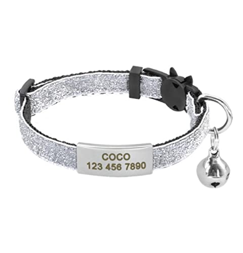 Release Cat Puppy Tag Collar Set Personalisiertes Nylon-Kätzchenhalsband Mit Gravur Für Kleine Haustiere,Kätzchen,1 cm Breite,Silber 2,18 Bis 27cm von VEKETE