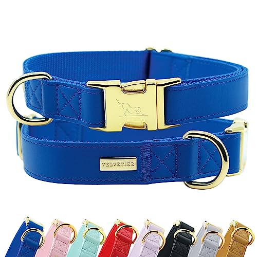 Halsband Hund von VELVETIER® | Stilvolles Hundehalsband aus veganem Mikrofaser Leder | Für kleine & große Hunde (M/L: 41 - 63cm, Royal (Blau)) von VELVETIER