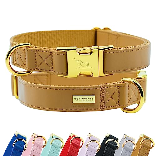 Halsband Hund von VELVETIER® | Stilvolles Hundehalsband aus veganem Mikrofaser Leder | Für kleine & große Hunde (S/M: 29 - 41cm, Coffee (Braun)) von VELVETIER