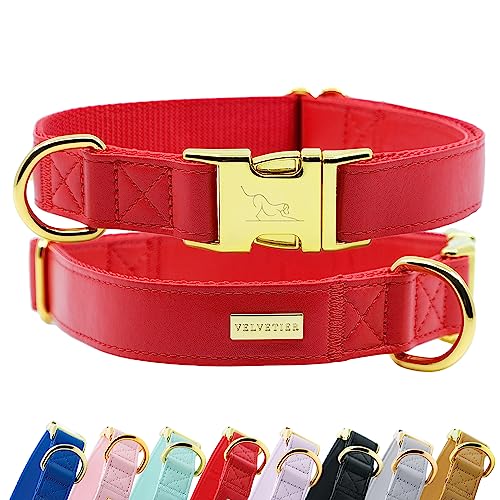 Halsband Hund von VELVETIER® | Stilvolles Hundehalsband aus veganem Mikrofaser Leder | Für kleine & große Hunde (S/M: 29 - 41cm, Milano (Rot)) von VELVETIER