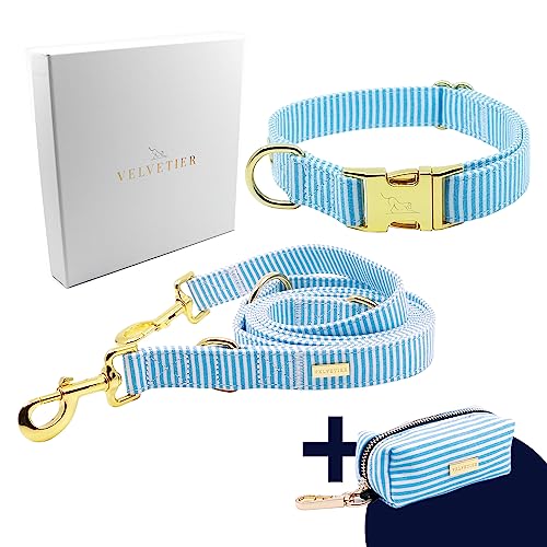 VELVETIER® "Sailor" | Hundehalsband, Hundeleine & Beutelspender im Set | Hochwertiges Canvas mit goldenen Metallapplikationen | Flexibel verstellbar | Große & kleine Hunde (M/L: 39 - 59cm) von VELVETIER