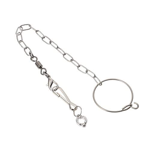 VERDANVERSE 1Satz Vogel Fußkette für Papageien Fußring Kette Separates Design für Wellensittiche und Nymphensittiche Schutz für Vogelpfoten VERDANVERSE 1Satz Vogel Fußkette für Papageien Fußring Kette Separates Design für Wellensittiche und Nymphensittiche Schutz für Vogelpfoten von VERDANVERSE