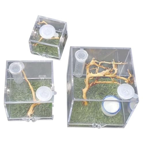 VERDANVERSE 3stücke Transparente Sprungspinnen-terrarien Mit Fütterungseingang Und Luftbefeuchter Insektenbehälter Springspinnen Und Kleine Reptilien VERDANVERSE 3stücke Transparente Sprungspinnen-terrarien Mit Fütterungseingang Und Luftbefeuchter Insektenbehälter Springspinnen Und Kleine Reptilien von VERDANVERSE