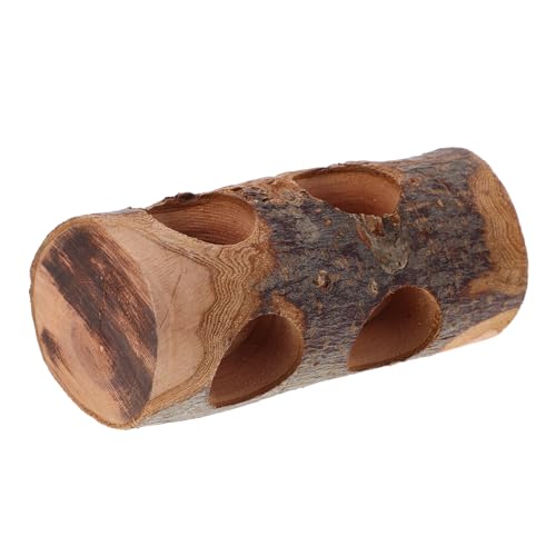 VERDANVERSE Bite Stick -spielzeuge Haustier Hamster Kauen Spielzeughamster Zähne Für Papagei Zahn Hamster Kauert Schleifen Natürliches Kauspielzeug Beruhigende Kauspielzeuge Hölzern VERDANVERSE Bite Stick -spielzeuge Haustier Hamster Kauen Spielzeughamster Zähne Für Papagei Zahn Hamster Kauert Schleifen Natürliches Kauspielzeug Beruhigende Kauspielzeuge Hölzern von VERDANVERSE