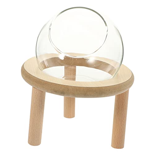 VERDANVERSE Hamster Badezimmer Transparentes für Chinchillas und Kleine Haustiere Pflegeleicht aus Hochwertigem Material als Toilette und Futterstelle VERDANVERSE Hamster Badezimmer Transparentes für Chinchillas und Kleine Haustiere Pflegeleicht aus Hochwertigem Material als Toilette und Futterstelle von VERDANVERSE