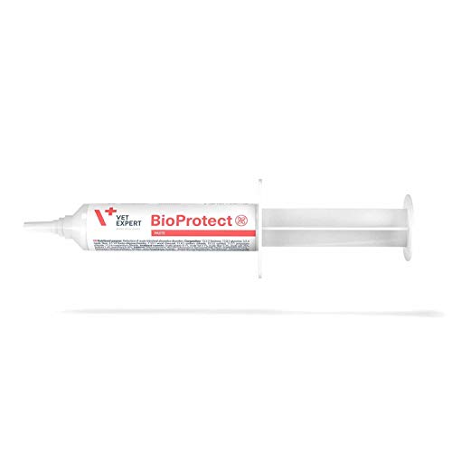 VETEXPERT BioProtect Paste 15ml Probiotika für Hund/Katze zur Servierung bei scharfer Durchbrüche und zur Zeit direkt nach dem Verschwinden der Symptome von Laufschwellungen von VETEXPERT BioProtect Paste 15ml