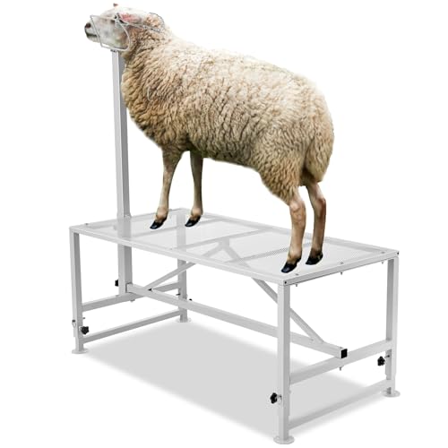 VEVOR Stand für Ziegen und Schafe, 1295 x 584 mm Viehstand, Metallstand zum Melken und Scheren von Vieh, 533 bis 838 mm verstellbare Höhe, mit Kopfstück und Nasenschlaufe, 227 kg Ladegewicht, Weiß von VEVOR