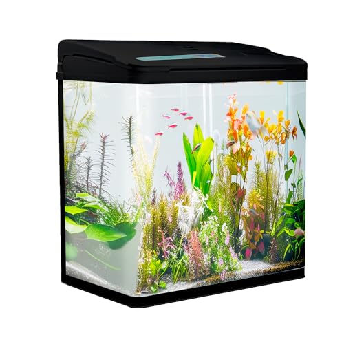 VIALIA Aquarium Komplettset mit LED-Beleuchtung, Pumpe und Filter, 24x17x29 cm, 8 Liter, Schwarz, Glasbecken für Fische und Wasserpflanzen von VIALIA