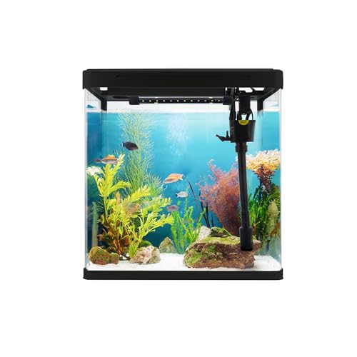 VIALIA Aquarium Komplettset mit LED-Beleuchtung, Pumpe und Filter, 30x20x32 cm, 18 Liter, Schwarz, Glasbecken für Fische und Wasserpflanzen von VIALIA