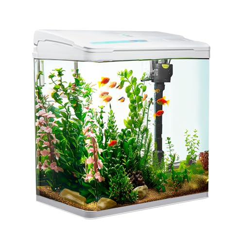 VIALIA Aquarium Komplettset mit LED-Beleuchtung, Pumpe und Filter, 30x20x32 cm, 18 Liter, Weiß, Glasbecken für Fische und Wasserpflanzen von VIALIA