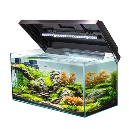 VIALIA Aquarium rechteckig mit Juwel LED Abdeckung schwarz 60x30x30 cm, 54 Liter, Glasbecken für Fische und Wasserpflanzen, Aquarium Becken stoßfest von VIALIA