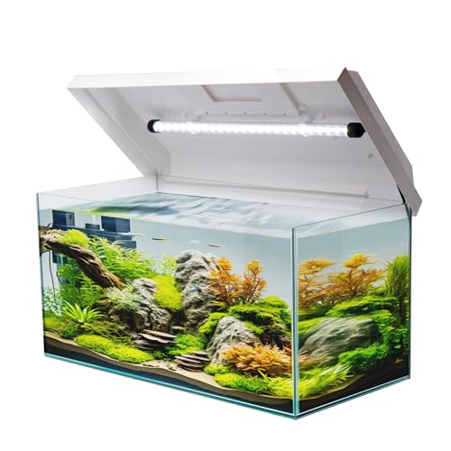 VIALIA Aquarium rechteckig mit Juwel LED Abdeckung weiß 60x30x30 cm, 54 Liter, Glasbecken für Fische und Wasserpflanzen, Aquarium Becken stoßfest von VIALIA