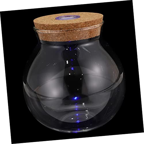 VICASKY Bunte LED Landschaftsflasche für DIY Mikrolandschaften Terrarium mit Licht für Wohnkultur und Pflanzen Dekoration Jedem VICASKY Bunte LED Landschaftsflasche für DIY Mikrolandschaften Terrarium mit Licht für Wohnkultur und Pflanzen Dekoration Jedem von VICASKY