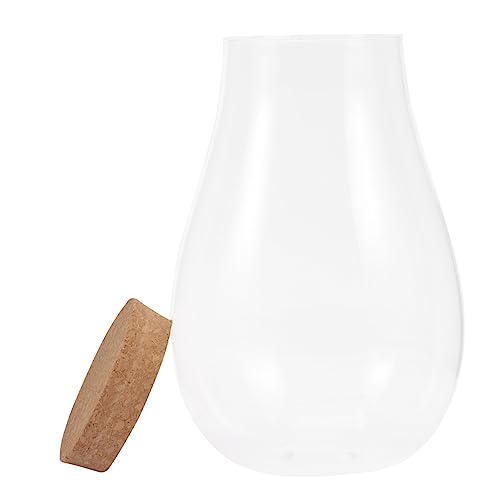 VICASKY DIY Glasterrarium für Mikrolandschaften Ökologische Flasche zur Gestaltung von Pflanzen und Moos Holzverschluss Dekoration VICASKY DIY Glasterrarium für Mikrolandschaften Ökologische Flasche zur Gestaltung von Pflanzen und Moos Holzverschluss Dekoration von VICASKY