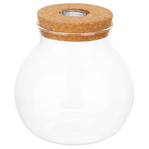 VICASKY DIY Terrarium Glasflasche mit LED Beleuchtung Kreativer Fischtank Halter für Landschaften zur Dekoration und Aufzucht von Wasserpflanzen Transparent Kompakt VICASKY DIY Terrarium Glasflasche mit LED Beleuchtung Kreativer Fischtank Halter für Landschaften zur Dekoration und Aufzucht von Wasserpflanzen Transparent Kompakt von VICASKY