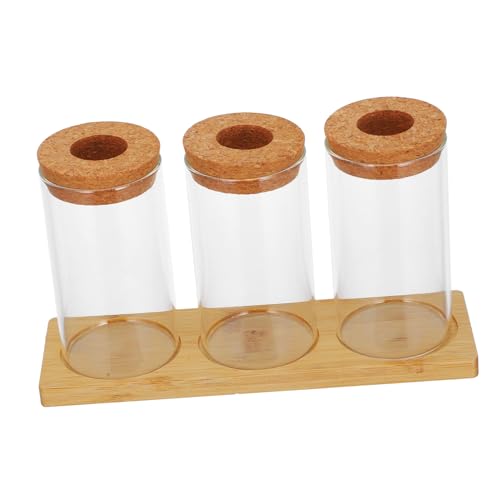 VICASKY Eleganten Hydrokultur Pflanzgefäßen Terrarium für Pflanzen Desktop Dekoration für Geschenkidee VICASKY Eleganten Hydrokultur Pflanzgefäßen Terrarium für Pflanzen Desktop Dekoration für Geschenkidee von VICASKY
