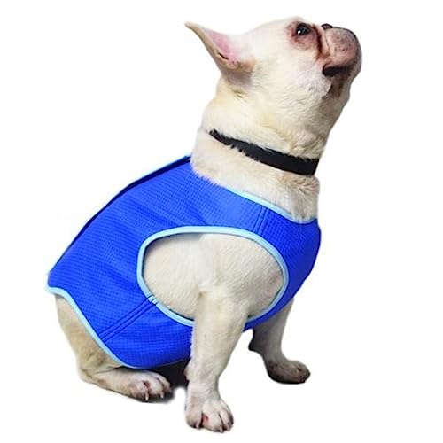 VICASKY Hundekühlweste aus Atmungsaktivem Mesh Kühlgeschirr für Hunde Xs Blau für Sommer Leicht und Bequem mit Praktischem VICASKY Hundekühlweste aus Atmungsaktivem Mesh Kühlgeschirr für Hunde Xs Blau für Sommer Leicht und Bequem mit Praktischem von VICASKY