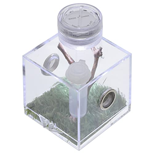 VICASKY Sprungspinnen Habitatbox mit Lampe Zucht und Aufbewahrungsbox für Kleine Haustiere Atmungsaktiv Feuchtigkeitsbeständig Teiliges für Beobachtung von Sprungspinnen VICASKY Sprungspinnen Habitatbox mit Lampe Zucht und Aufbewahrungsbox für Kleine Haustiere Atmungsaktiv Feuchtigkeitsbeständig Teiliges für Beobachtung von Sprungspinnen von VICASKY