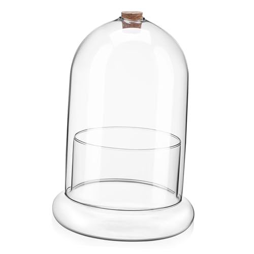 VICASKY Terrarium mit Glaskuppel und Stabiler Basis für Schreibtisch Dekoration Wohnzimmer oder Luftloch für Einfache Pflanzenpflege Sukkulenten VICASKY Terrarium mit Glaskuppel und Stabiler Basis für Schreibtisch Dekoration Wohnzimmer oder Luftloch für Einfache Pflanzenpflege Sukkulenten von VICASKY