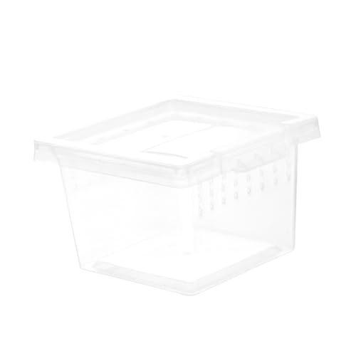 VICASKY Transparente Brutbox Für Reptilien - 75 x 25 cm Kunststoff Terrarium Futterbox Für Eidechsen - Skorpione Geckos Und Schildkröten Ideal Für Die Zucht Und Aufzucht Von Haustieren von VICASKY