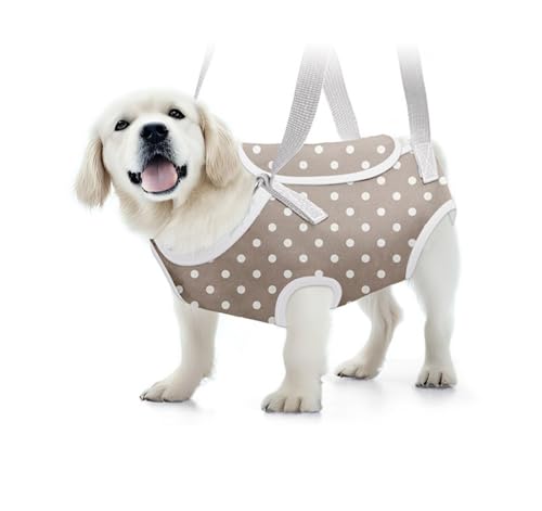 Soft Jacket Step-in-Hunde-/Katzengeschirr und Leine-Set Zum Spazierengehen, Hundegeschirre mit Schnellverschluss für Welpen, Große Katzen, Verstellbar, Leicht,B-S von VIDECOR