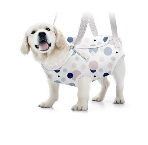 Soft Jacket Step-in-Hunde-/Katzengeschirr und Leine-Set Zum Spazierengehen, Hundegeschirre mit Schnellverschluss für Welpen, Große Katzen, Verstellbar, Leicht,D-M von VIDECOR