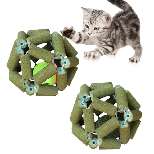 VIDSTW 2 Stücke Katzenminze Ball Spielzeug, Catnip Ball Spielzeug mit Glocke, Katzenminze Spielzeug Katzenzähne Reinigen, Katzenstimmung Lindern, Fördern sie die Verdauung Ihrer Katze von VIDSTW