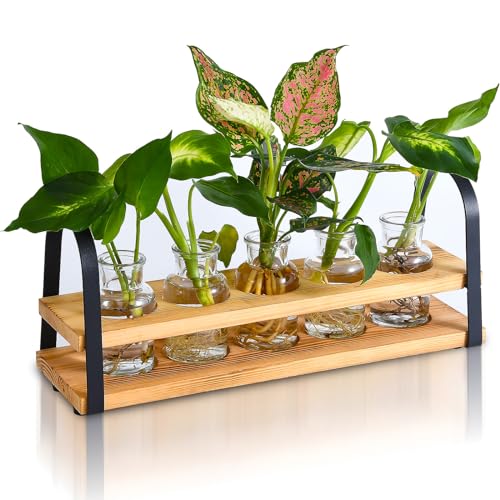 VIKEYHOME Pflanzen-Anzuchtstationen mit Holzständer, Desktop-Pflanzen-Terrarium für Hydrokultur, Blumenvase für Zuhause, Küche, Büro, Dekoration, Pflanzenliebhaber-Geschenke von VIKEYHOME