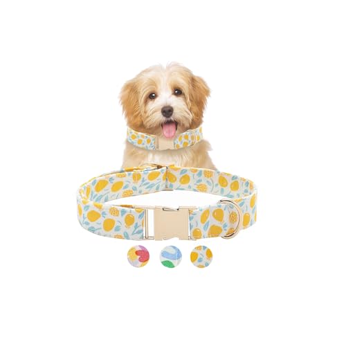 Hundehalsband mit Schleife, 3 Sets, Figuren, langlebig, verstellbar, für kleine, mittelgroße und große Hunde, mit Metallschnalle, 10 XS, Gelb mit Blumenmuster von VILARIS