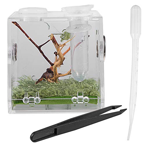 VILLCASE Springspinne Terrarium, Acryl Spinnen Terrarium Transparent Reptilien-Zuchtbox Schnecken Terrarium mit Pipette Zange für Spinnen, Crickets, Heuschrecken von VILLCASE