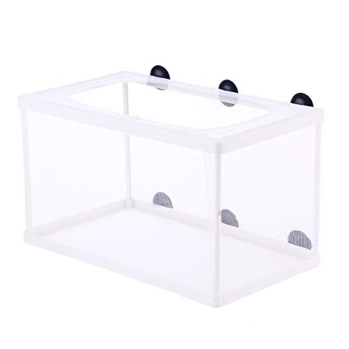 VILLCASE Aquatainer Fischtank- Züchternetz Mesh- Fischbrut- Brutkasten- Trennnetz- Fischtrenner mit 6 Saugn?pfen für Aquarien (? ?e Gr??e) Aquarium von VILLCASE