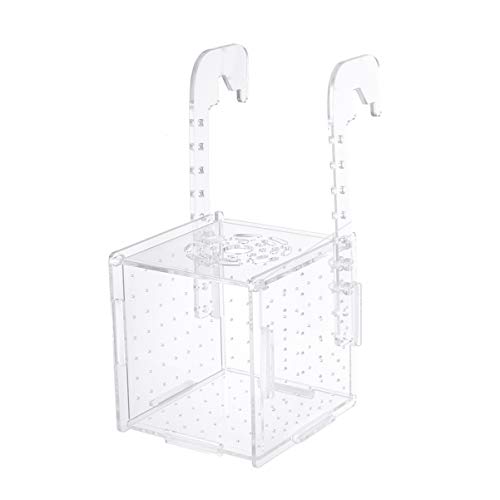 VILLCASE Goldfischglas Nd-Filter Hatchinale Isolator Filter Für Fischaquarien Garnelen Zubehör Geburtsbecken Für Fische Mit Saugnapf Salzgarnelen Betta Fisch Guppy Sieb Inkubator Aquarium von VILLCASE