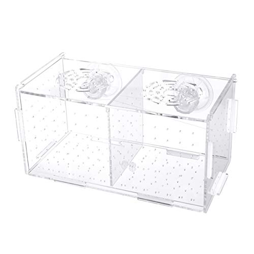 VILLCASE Aquarium Zubehör Züchterbox Für Aquarien Fischzuchtbox Acryl-Fischbrüterei Inkubator Transparente Aquarienzucht-Isolierbox Mit Saugnäpfen Für Aquarien (20 * 10 * 11 cm) Krebsreuse von VILLCASE