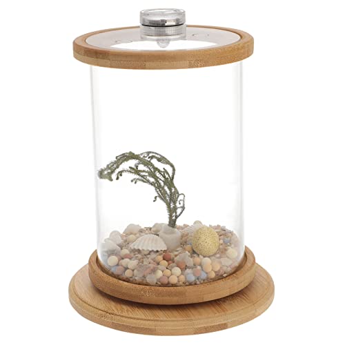 VILLFUL 1 Satz Desktop Micro View Aquarium Mini-künstliche Pflanzen Desktop-Aquarium Hydroponische Pflanzen Kunstpflanzen Durchsichtiger Fisch Fischglas Transparente Fischschale Bürobedarf von VILLFUL