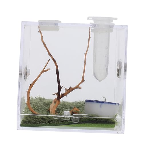 VILLFUL 1 Satz Springspinnen-Zuchtbox Vogelspinne Zubehör Spinnenkäfig aus Acryl Bug-Viewer-Jar insektenhäuser Mini Terrarium Mini-Luftbefeuchter Tier Zuchtträger Spinnenlandschaft Fall von VILLFUL