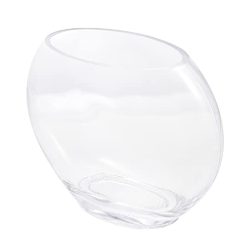 VILLFUL Desktop Dekorative Fischbowl Oval Form Kleiner Fischtankglas Landschaftsbautank von VILLFUL