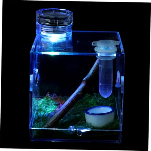 VILLFUL Kasten Springspinnen-zuchtbox Sprungspinnengehege Mikrolebensraum Der Spinne Spinnen-Terrarium Nebelgerät Reptilienterrarium Springender Spinnenlebensraum Träger Keramik von VILLFUL