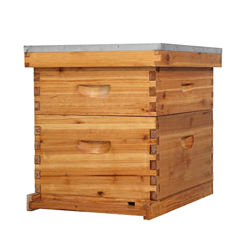 VINGLI 10 Rahmen Bienenstock, komplettes Bienenstock-Set enthält 1 Tiefe Boxen, 1 mittelgroße Box, Rahmen und gewachste Fundamente, für Hof, Feld, Bienenfarm (2 Ebenen) von VINGLI