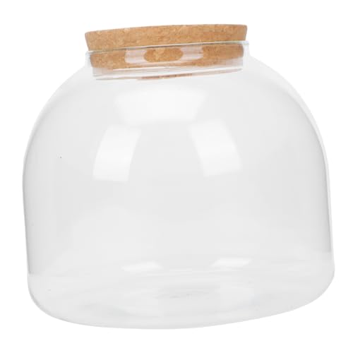 VINTORKY Landschaft Flasche Pflanzer Terrarium Glas Jar Cap für Büro von VINTORKY