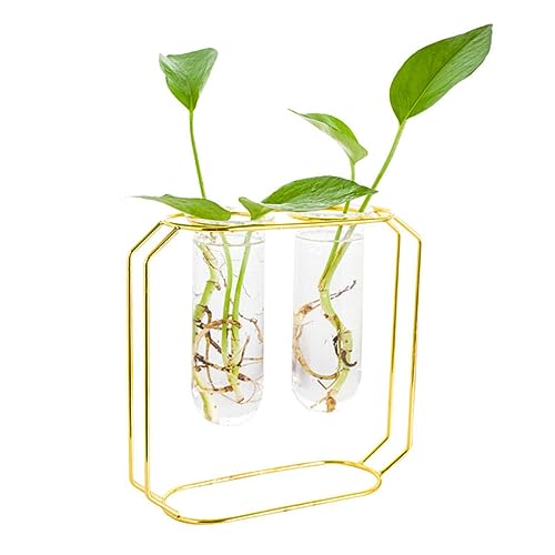 VINTORKY Kunst Blumenvase Set 2er Set Glaskrüge Mit Eisenrahmen Für Pflanzen Terrarium Stilvolle Tischdeko Für Wohnzimmer Büro Und Home Decor von VINTORKY