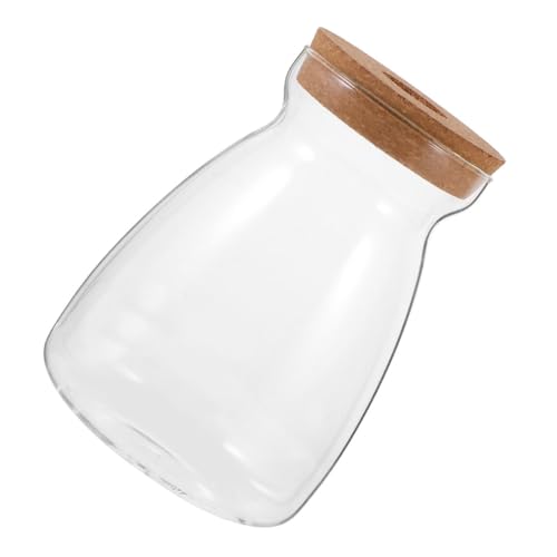 VINTORKY Ökologische Mikrolandschaftsflasche Hydroponische Vase Mit Holzdeckel Betta-Fisch-pflanzenbehälter Desktop-pflanzenvermehrung Saftiger Behälter Holzdeckel Für Vase Glas Transparent von VINTORKY