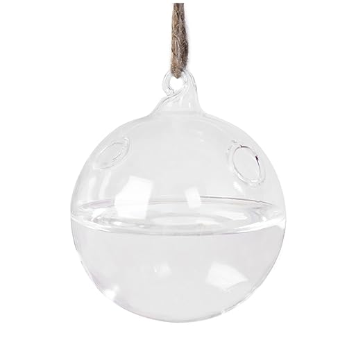 VINTORKY Transparenter Hängender Pflanzer Aus Glas Mit Löchern Modernes Terrarium Für Pflanzen Als Wohnaccessoire Dekoration Von Innenräumen von VINTORKY